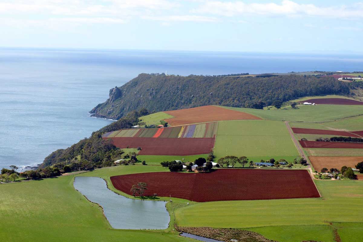 Wynyard